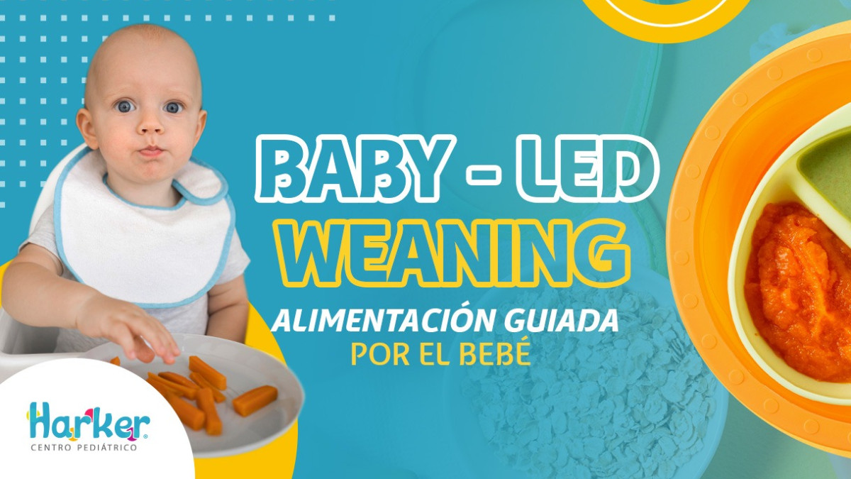 BABY-LED WEANING ALIMENTACIÓN GUIADA POR EL BEBÉ