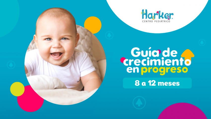 Foto principal de Guía 8 a 12 meses
