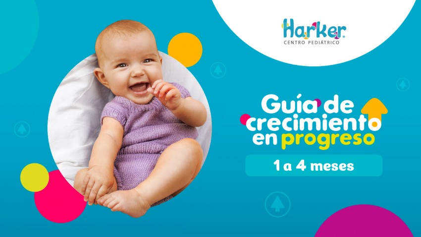 Foto principal de Guía 1 a 4 meses
