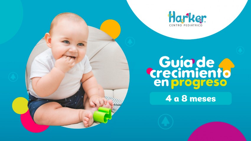 Foto principal de Guía 4 a 8 meses
