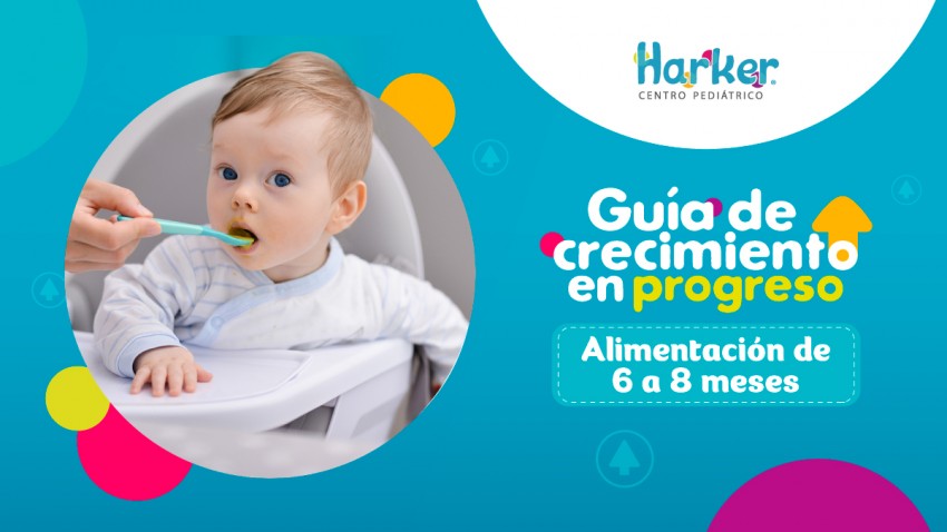 Foto principal de Guia alimentacion 6 a 8 meses
