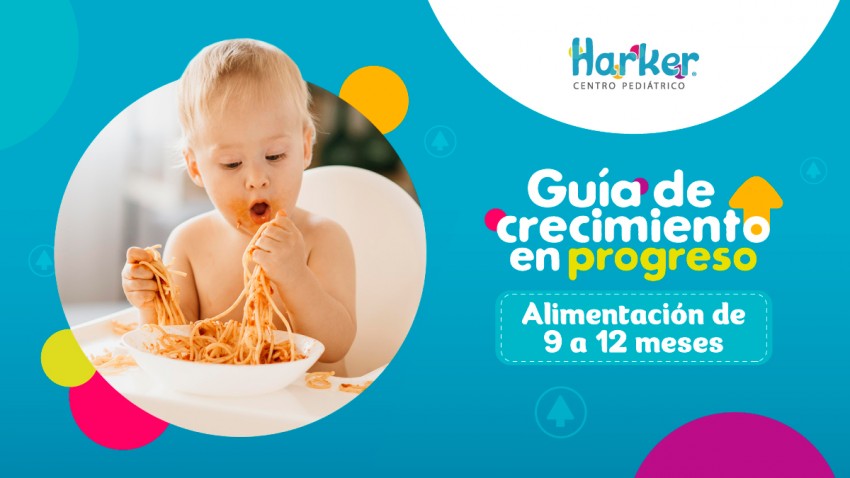 Foto principal de Guia alimentacion 9 a 12 meses