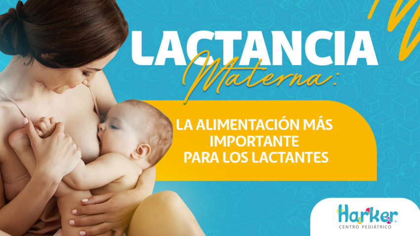 Foto principal de LACTANCIA MATERNA: LA ALIMENTACIÓN MÁS IMPORTANTE PARA LOS LACTANTES