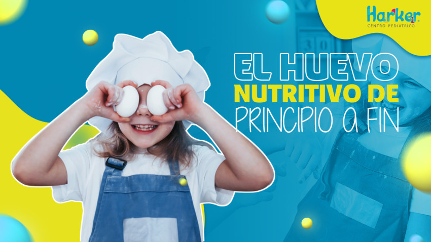 Foto principal de NUTRICIÓN: EL HUEVO, NUTRITIVO DE PRINCIPIO A FIN