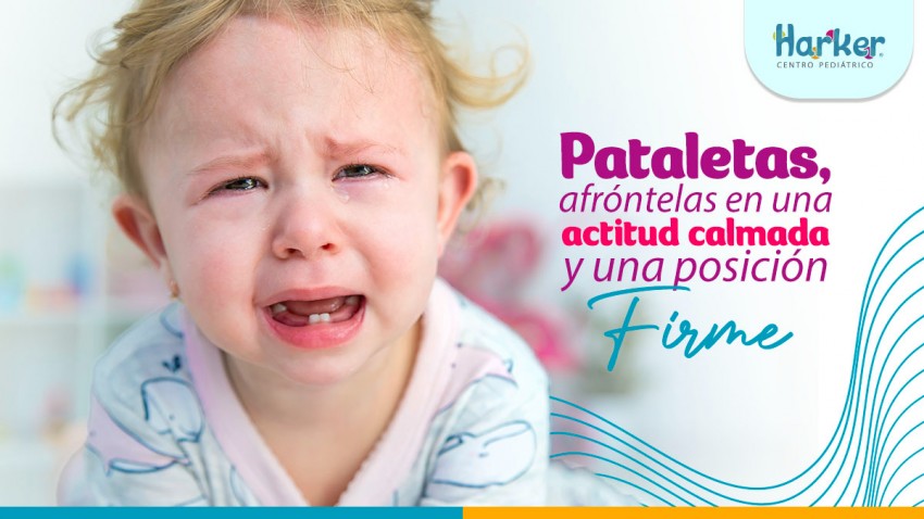 Foto principal de Pataletas, afróntelas en una actitud calmada y una posición firme 