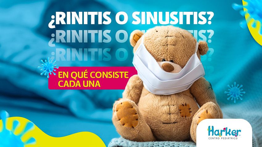 foto ¿RINITIS O SINUSITIS? EN QUÉ CONSISTE CADA UNA
